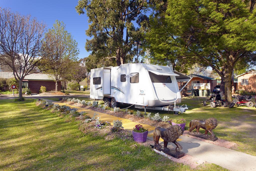 Hotel Armidale Tourist Park Exteriér fotografie