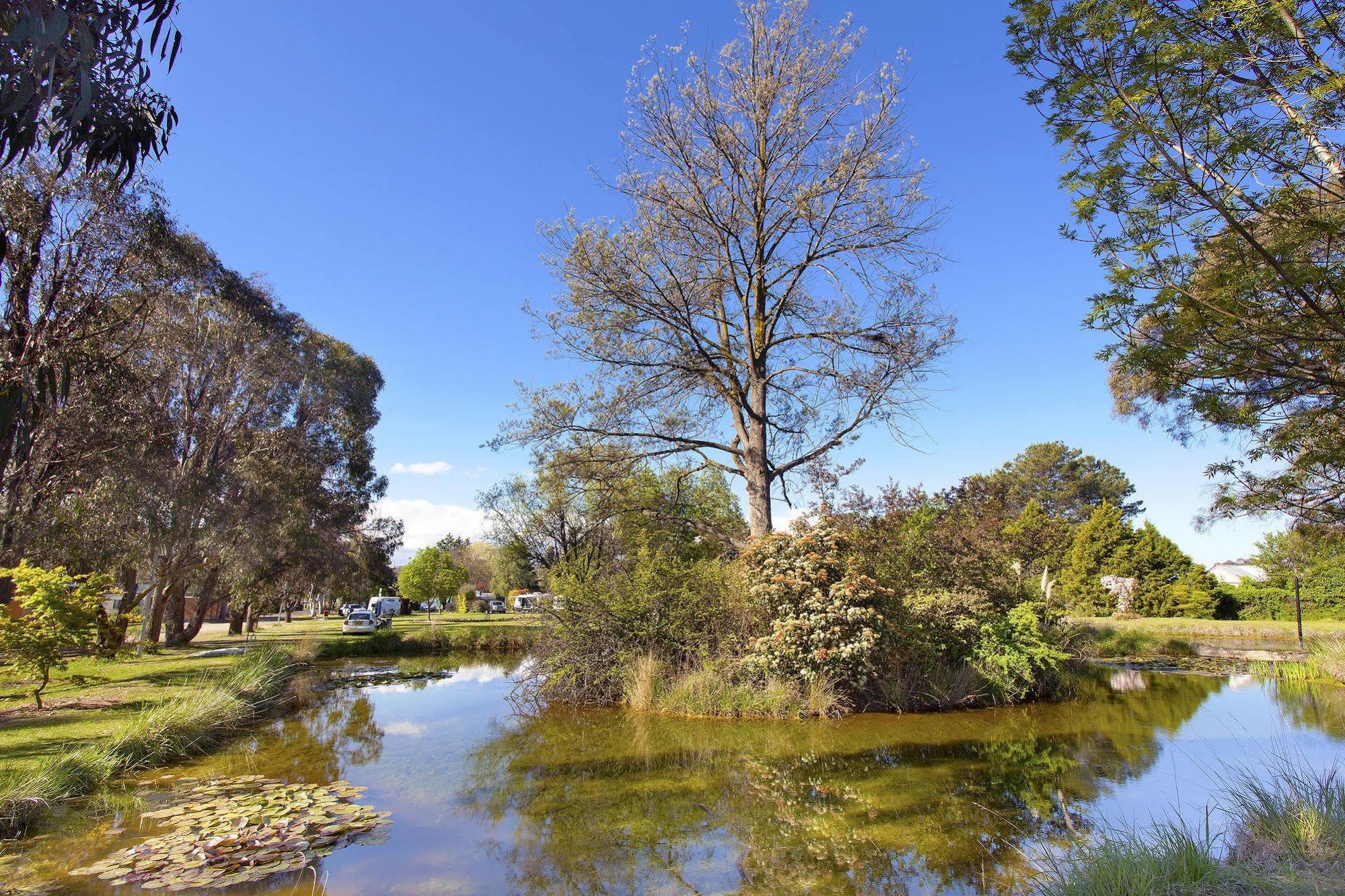 Hotel Armidale Tourist Park Exteriér fotografie